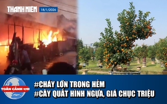 Toàn cảnh 17h: Cháy lớn trong hẻm, cư dân hoảng loạn | Chiêm ngưỡng cây quất hình con ngựa giá chục triệu