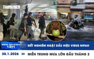 Xem nhanh 12h: TP.HCM siết nghiêm ngặt dấu hiệu virus Nipah | Miền Trung mưa lớn đầu tháng 2