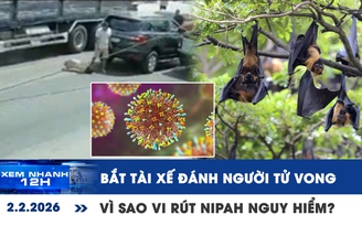 Xem nhanh 12h: Bắt tài xế đánh người tử vong sau va chạm | Vì sao vi rút Nipah nguy hiểm?