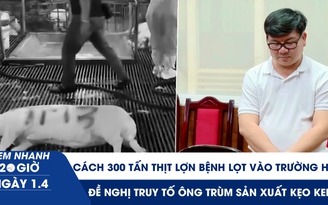 Xem nhanh 20h ngày 1.4: Cách 300 tấn thịt lợn bệnh lọt vào trường học ở Hà Nội | Đề nghị truy tố ông trùm sản xuất kẹo Kera