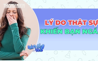 Lý do thật sự khiến bạn ngáp