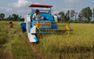 Lo với cánh đồng mẫu lớn Lo với cánh đồng mẫu lớn