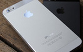 iPhone 5 bị 'khai tử' iPhone 5 bị 'khai tử'