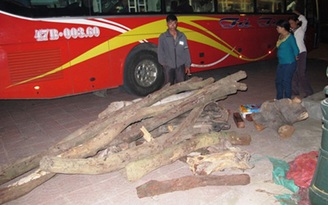 Bắt xe khách chở hơn 550 kg gỗ trắc