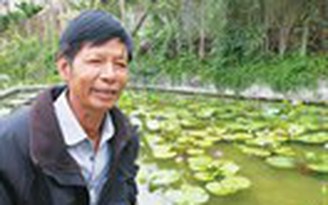Tự tạo cơ hội - Kỳ 3: Lai màu cho hoa súng Tự tạo cơ hội - Kỳ 3: Lai màu cho hoa súng