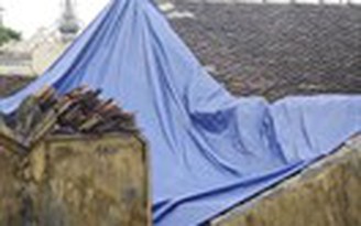 Dùng gỗ xoan thay gỗ sưa sửa đình Cựu Quán Dùng gỗ xoan thay gỗ sưa sửa đình Cựu Quán