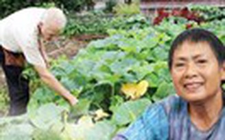 Trang trại rau Việt ở thủ đô nước Mỹ Trang trại rau Việt ở thủ đô nước Mỹ