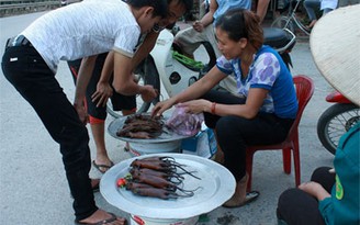 Thịt chuột đồng giá 100 nghìn đồng/kg vẫn đắt khách Thịt chuột đồng giá 100 nghìn đồng/kg vẫn đắt khách