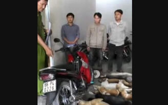 Bắt 3 đối tượng trộm chó bằng súng điện tự chế