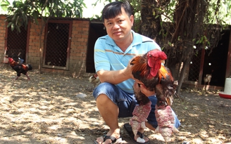 Chàng kỹ sư công nghệ lập trại gà Đông Tảo thu lợi 200 triệu đồng/tháng