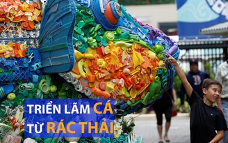 Triển lãm cá từ rác thải