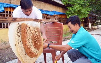 Tổ ong, lẩu mắm lớn nhất sẽ được xác lập kỷ lục vào dịp lễ 30.4 tại Cà Mau