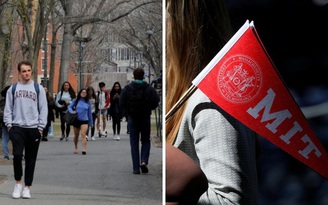 Đại học Harvard, MIT kiện chính quyền Tổng thống Trump về chính sách đối với sinh viên quốc tế