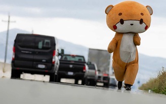 Chú gấu bông lon ton suốt 600 km từ Los Angeles đến San Francisco