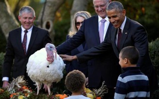 Tổng thống Obama ân xá con gà tây cuối cùng