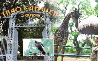 Thực hư nhân viên Thảo cầm viên Sài Gòn 'nhường cơm' cho thú
