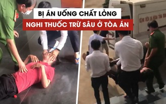 TAND tỉnh Bình Phước yêu cầu báo cáo vụ 'Mạc Văn Hào được hưởng án treo'