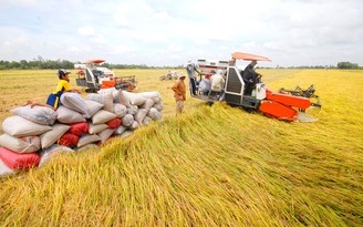 Việt Nam sẵn sàng là nguồn cung cấp gạo lâu dài và ổn định cho Philippines