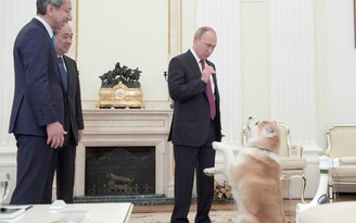 Tổng thống Putin trổ tài thuần thú cưng