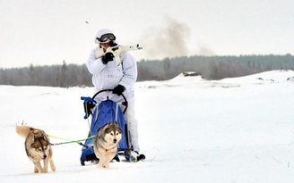 Lính Nga ở Bắc Cực luyện tập với xe chó kéo
