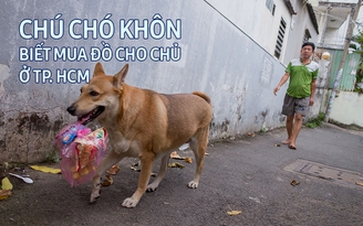 Chó khôn mua đồ giúp chủ ở TP. HCM
