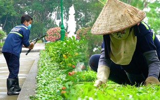 4 tháng âm thầm làm đẹp cho thành phố của các công nhân công viên cây xanh