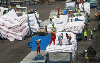 Philippines chào mua 300.000 tấn gạo từ Việt Nam, Thái Lan