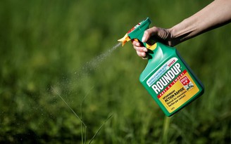 Hàng ngàn người kiện Monsanto bán thuốc diệt cỏ gây ung thư