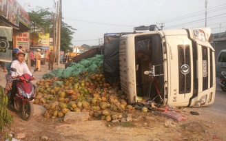Hàng trăm trái dừa đổ xuống đường, không ai hôi của