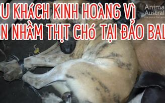 Du khách hoàng hốt vì thịt chó ở đảo thiên đường Bali