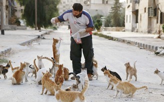 'Người mèo' cưu mang 80 con mèo bị bỏ rơi trong bom đạn xung đột Syria