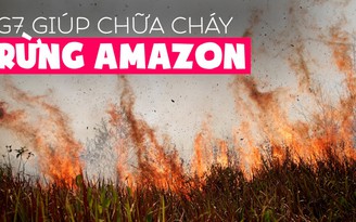 G7 gấp rút bàn chuyện chữa cháy rừng Amazon