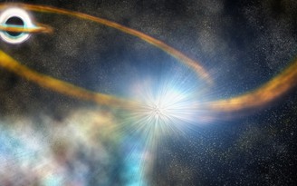 Hiếm thấy: Lỗ đen xé toạc ngôi sao 'vắn số'