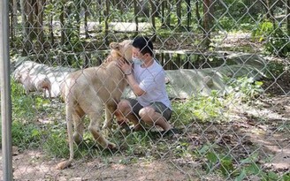 Thủ tướng Hun Sen cho trả lại sư tử cho chủ nuôi Trung Quốc