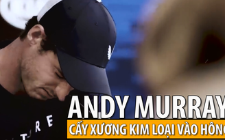 Andy Murray cấy xương kim loại để thi đấu Grand Slam