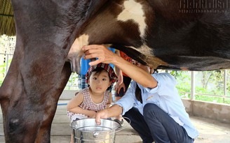Ngày Giỗ Tổ, cả nhà cùng về Củ Chi làm nông dân Ngày Giỗ Tổ, cả nhà cùng về Củ Chi làm nông dân