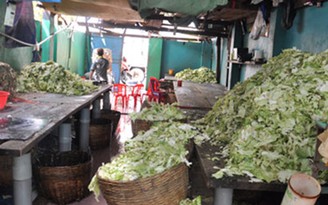 Hơn 70% cơ sở được kiểm tra ở Thái Bình vi phạm về an toàn thực phẩm