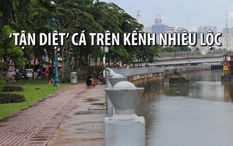 Vô tư câu cá trên kênh Nhiêu Lộc bên cạnh biển cấm