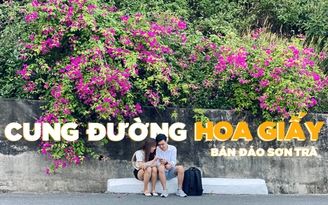 Mê mẩn trước vẻ đẹp cung đường hoa giấy khổng lồ ở bán đảo Sơn Trà