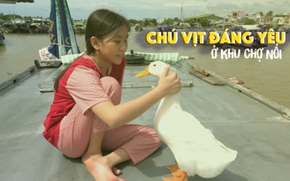Chú vịt trắng đáng yêu ở chợ nổi Cái Răng: Thích ăn mì gói, tắm sông tự tìm đường về