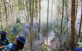 Cháy rừng tràm, thiệt hại hàng trăm triệu đồng
