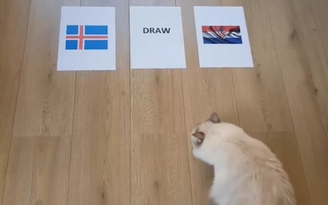 “Tiên tri” Gabby dự đoán trận đấu Iceland - Croatia