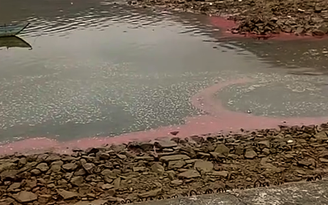 Xuất hiện dải nước đỏ dài khoảng 30 m ở vùng biển Hà Tĩnh