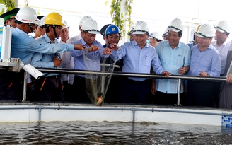 Thủ tướng yêu cầu phải kiểm tra chủ động quá trình xử lý nước thải tại Formosa