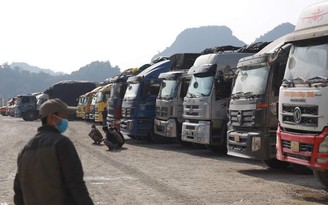 Trước giờ dừng nhận xe trái cây tươi lên cửa khẩu, Lạng Sơn vẫn tồn 1.932 xe