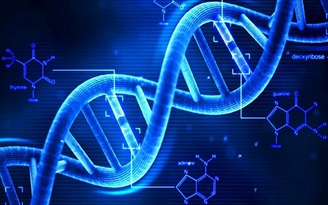Xét nghiệm ADN có phân biệt được cha-con hay ông-cháu?