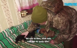 Những chú cún nhỏ mang niềm vui hiếm hoi cho người lính Ukraine ở Bakhmut