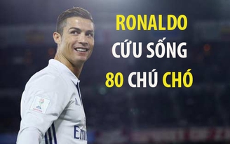 Ronaldo cứu rỗi hơn 80 sinh mạng