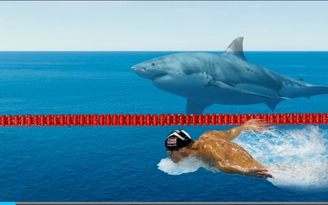 Micheal Phelps và cá mập trắng: ai bơi nhanh hơn?