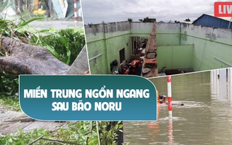 TRỰC TIẾP: Miền Trung ngổn ngang sau bão Noru